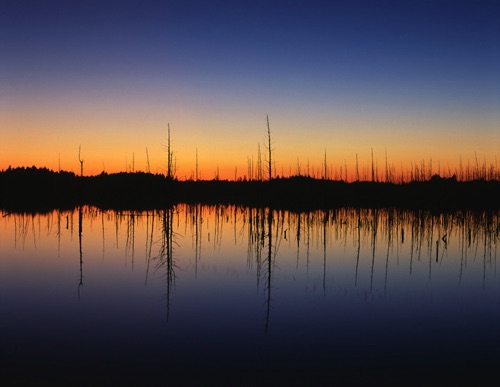 Sunset 1 Stafford Forge, Pine Barrens (MF).jpg Sunset 1 Stafford Forge, Pine Barrens (MF).jpg